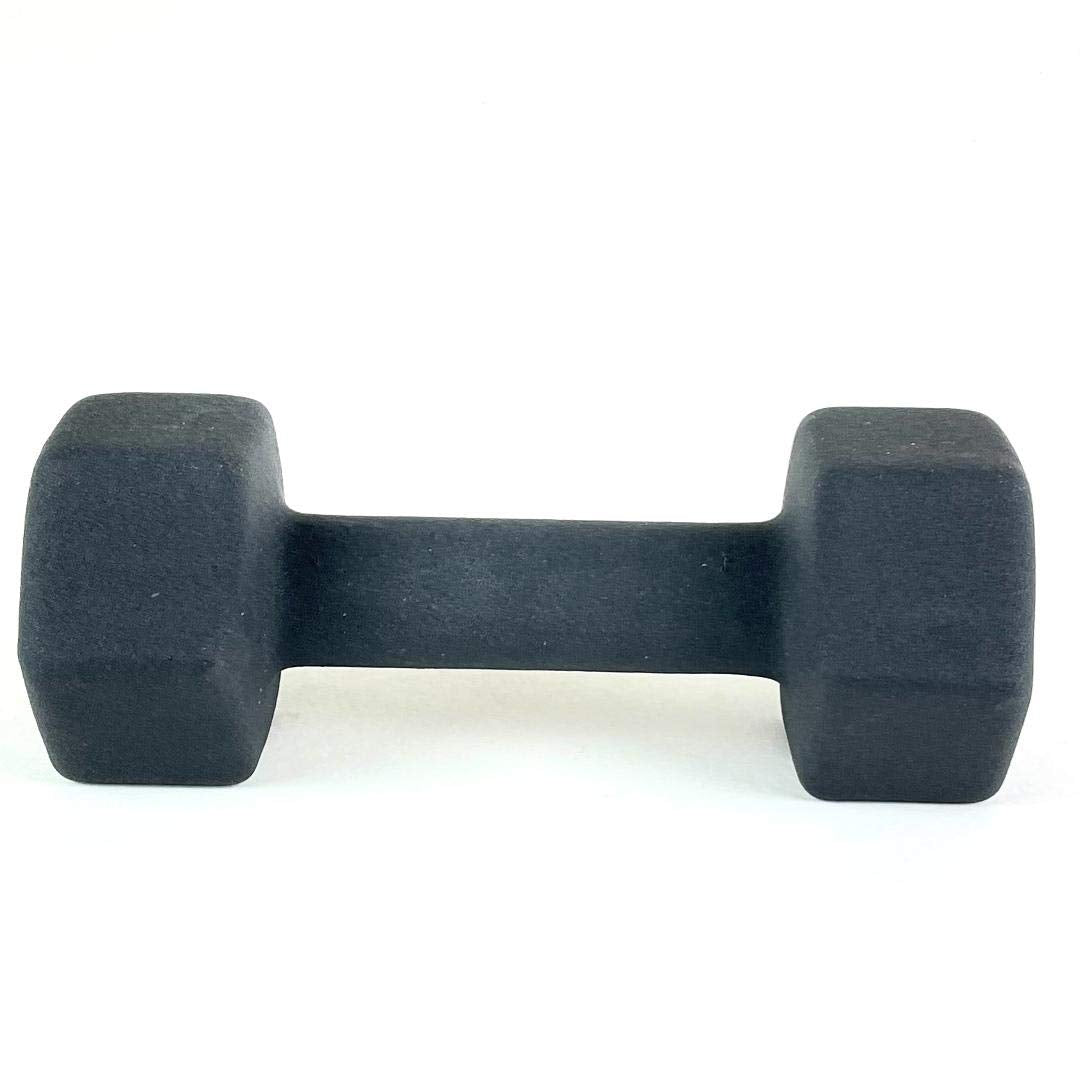 Black 10LB Set of 2 Neoprene Coated Hex Dumbbell F782