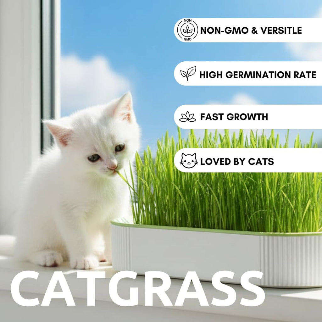 Hydroponic Cat Grass Grow Kit with 2 Oz Non-GMO Seeds X1007