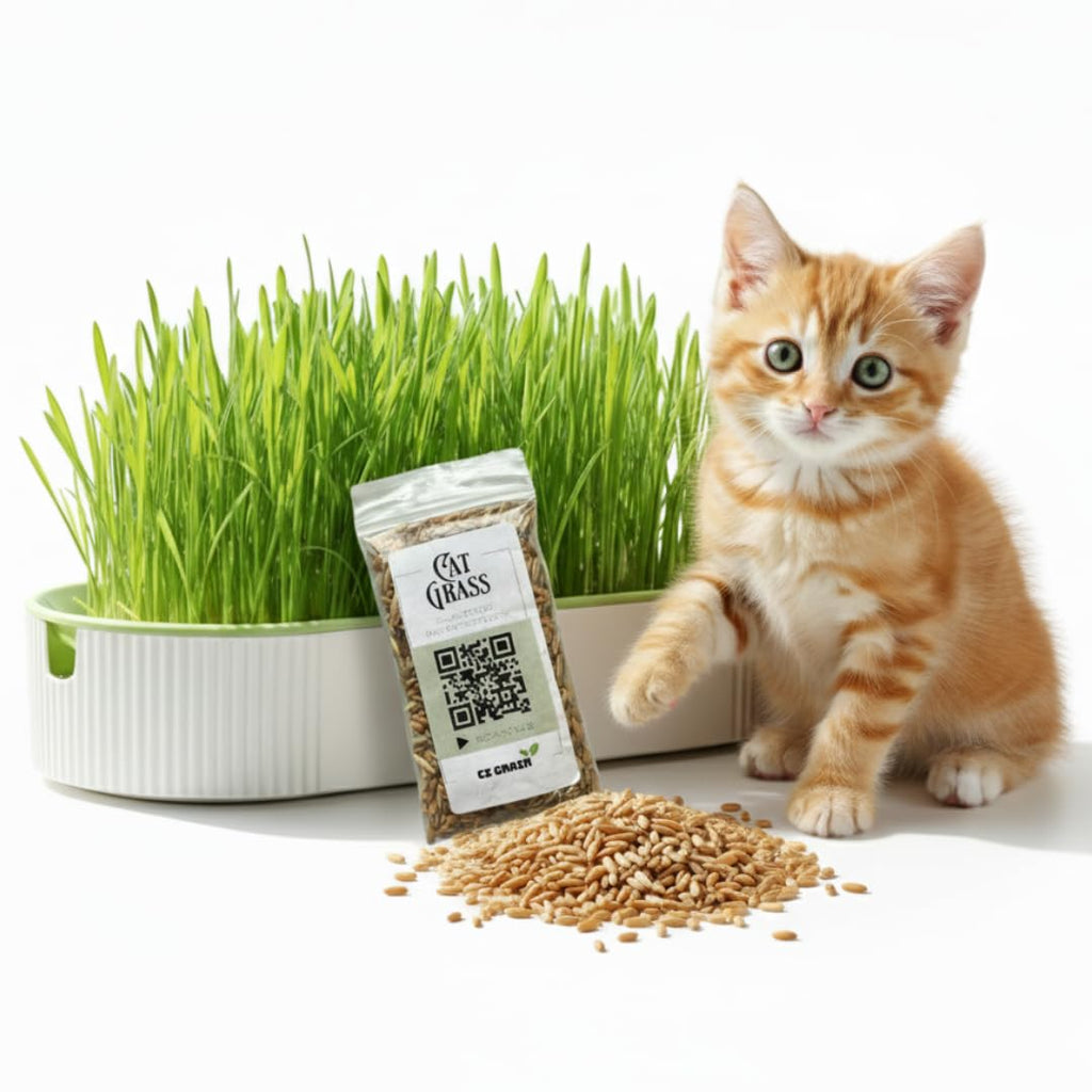 Hydroponic Cat Grass Grow Kit with 2 Oz Non-GMO Seeds X1007