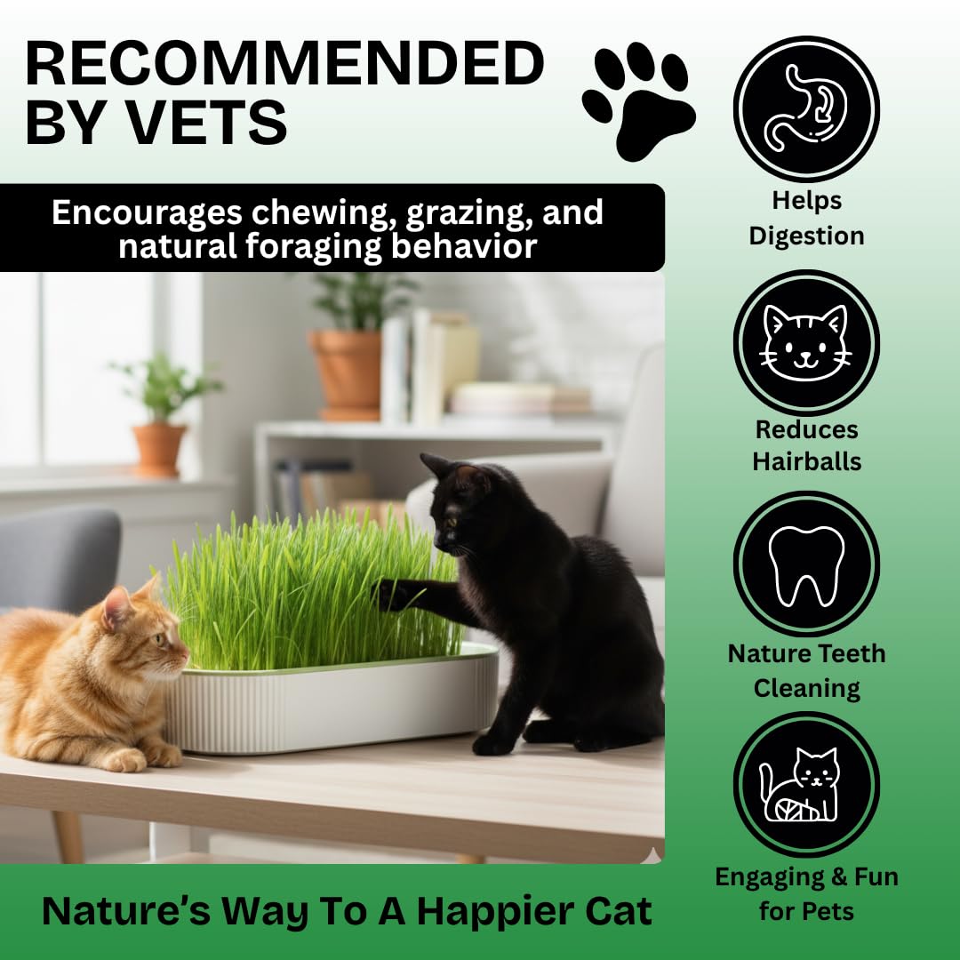 Hydroponic Cat Grass Grow Kit with 2 Oz Non-GMO Seeds X1007