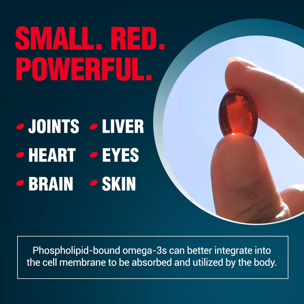 Omega-3 Krill Oil 60 Ct x 2 Pack L714440