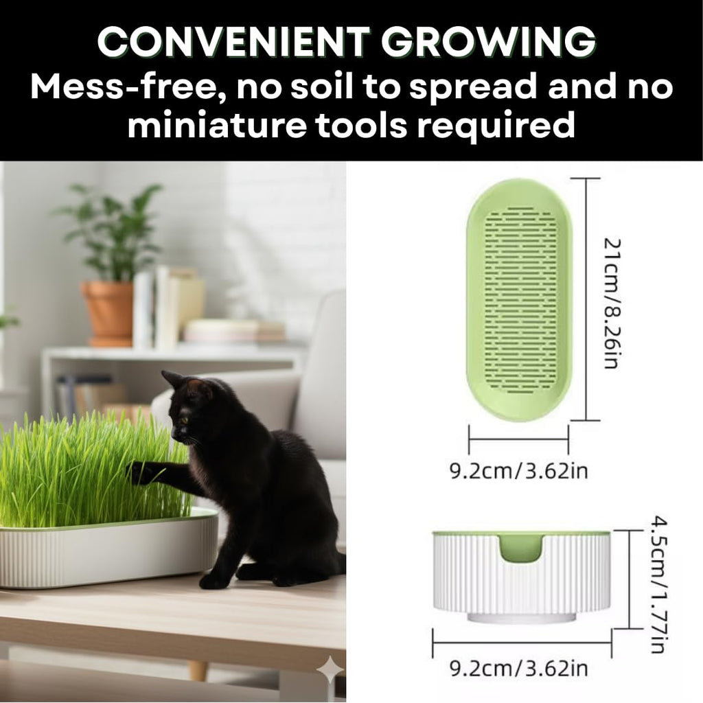 Hydroponic Cat Grass Grow Kit with 2 Oz Non-GMO Seeds X1007