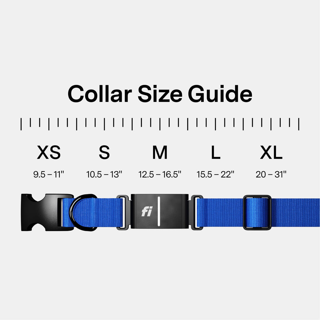 GPS Dog Collar & Tracker R7201