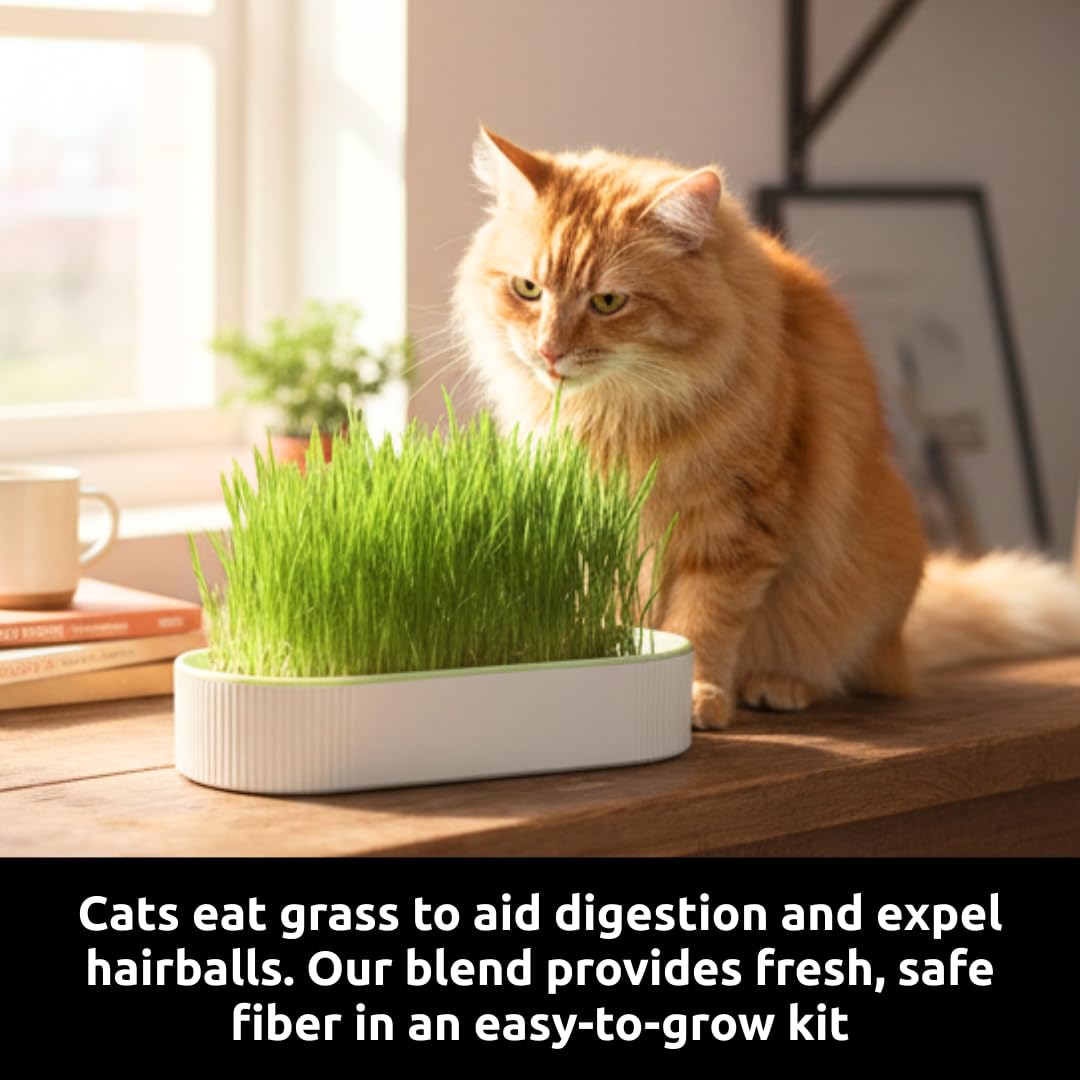 Hydroponic Cat Grass Grow Kit with 2 Oz Non-GMO Seeds X1007