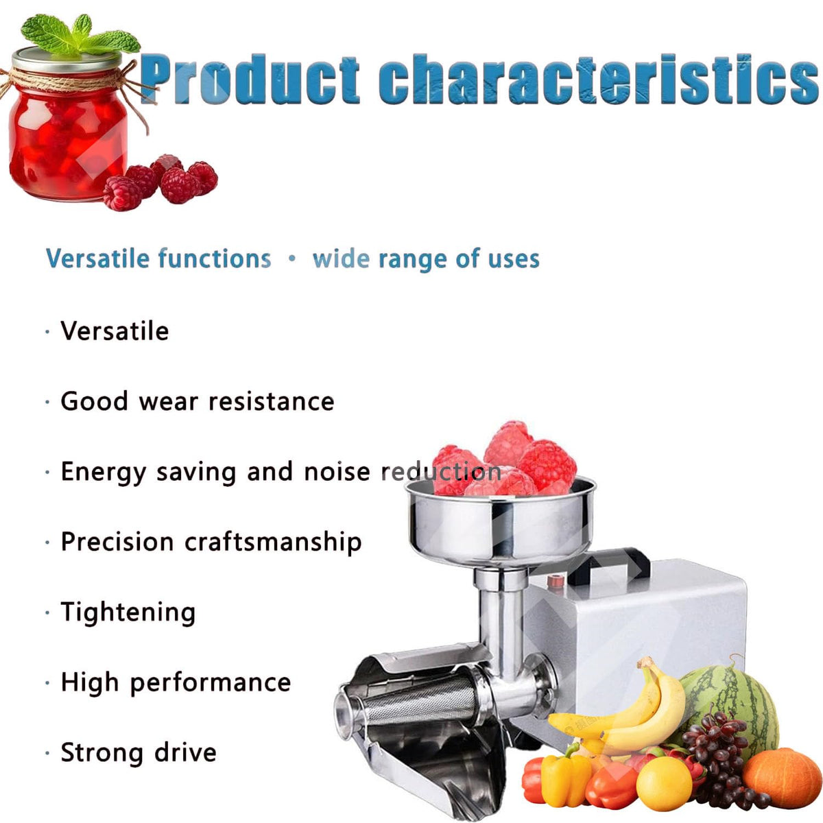450w Stainless Steel Electric Tomato Strainer V241978