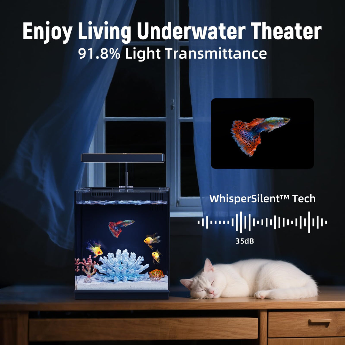 2 Gallon Betta Fish Tank with Filter & Light I377518