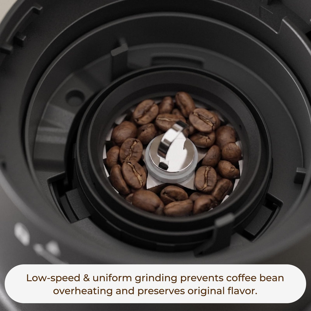 Conical Burr Coffee Grinder, 60 Settings, Black S5339