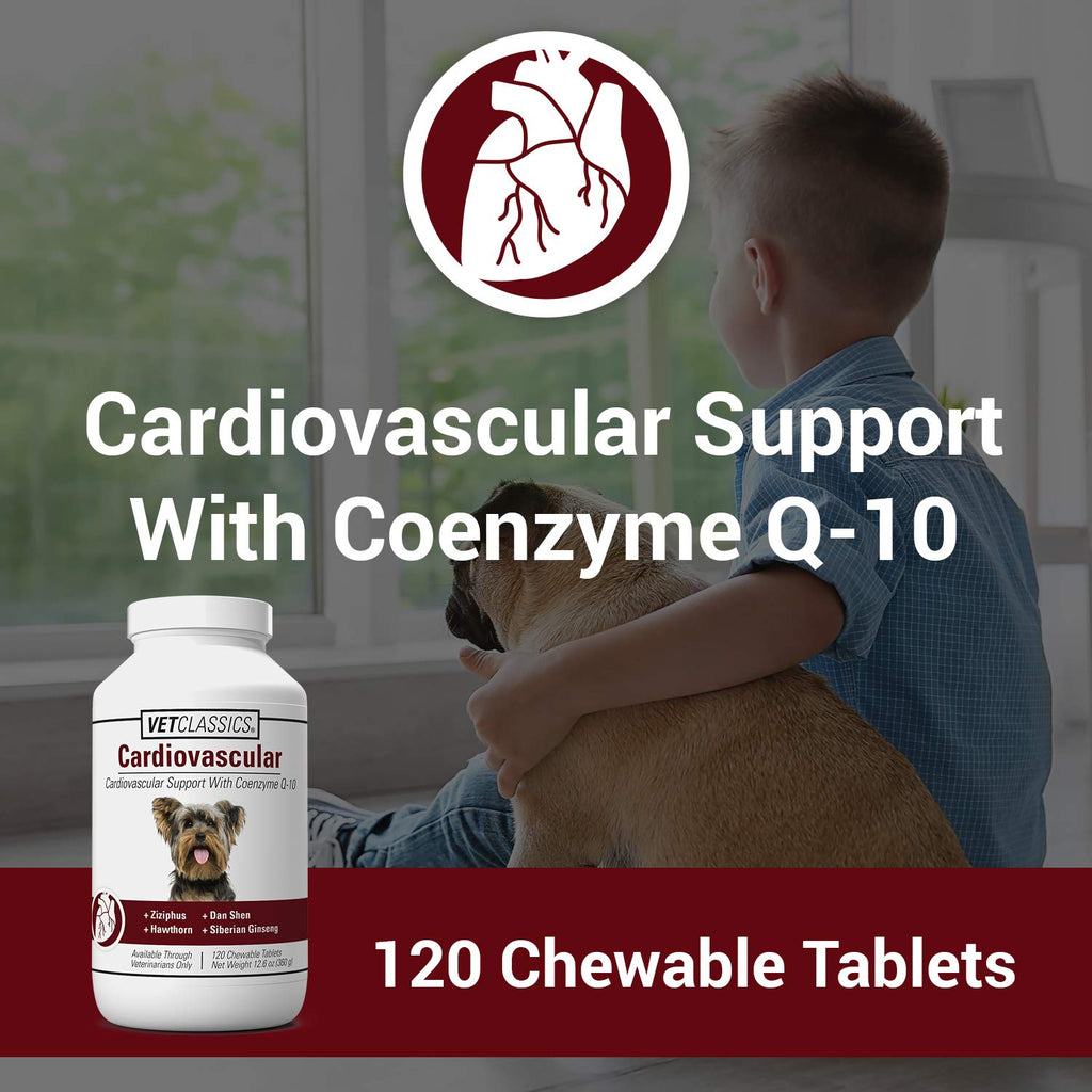 Cardiovascular Supplement with Coenzyme Q-10 for Dogs 120 Ct S163433