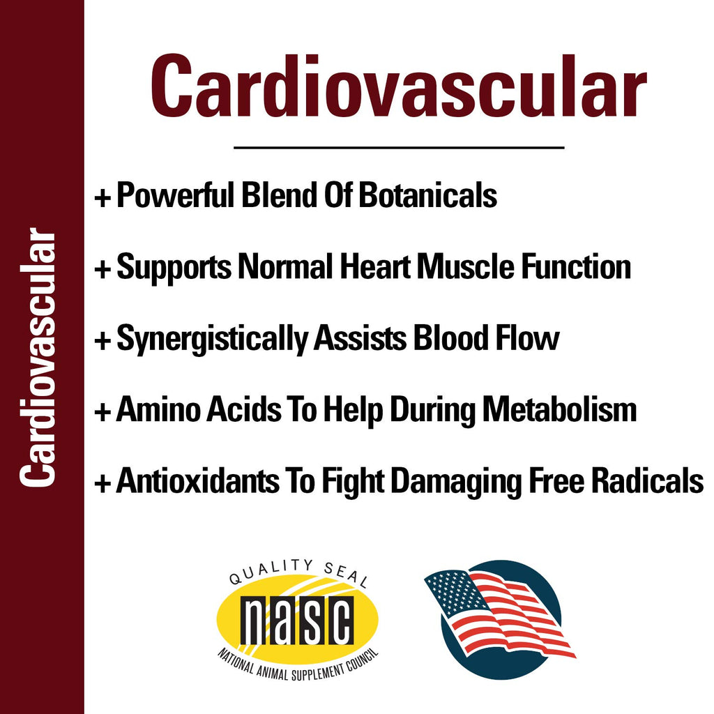 Cardiovascular Supplement with Coenzyme Q-10 for Dogs 120 Ct S163433