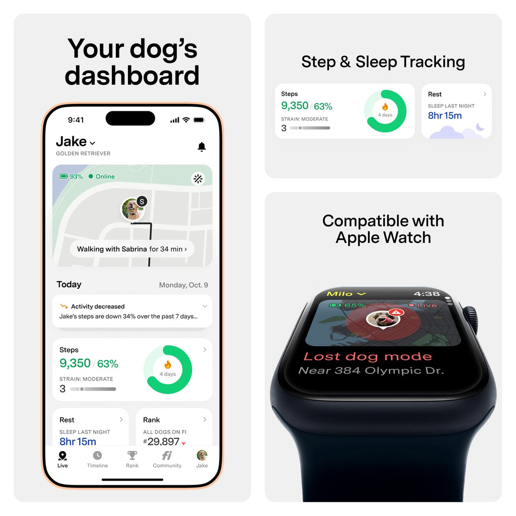 GPS Dog Collar & Tracker R7201