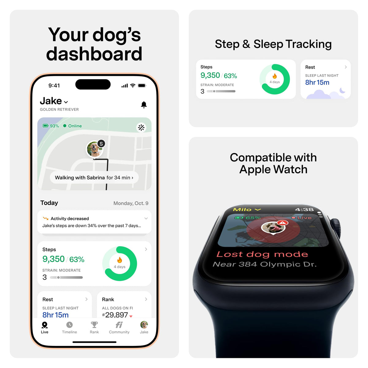GPS Dog Collar & Tracker R7201