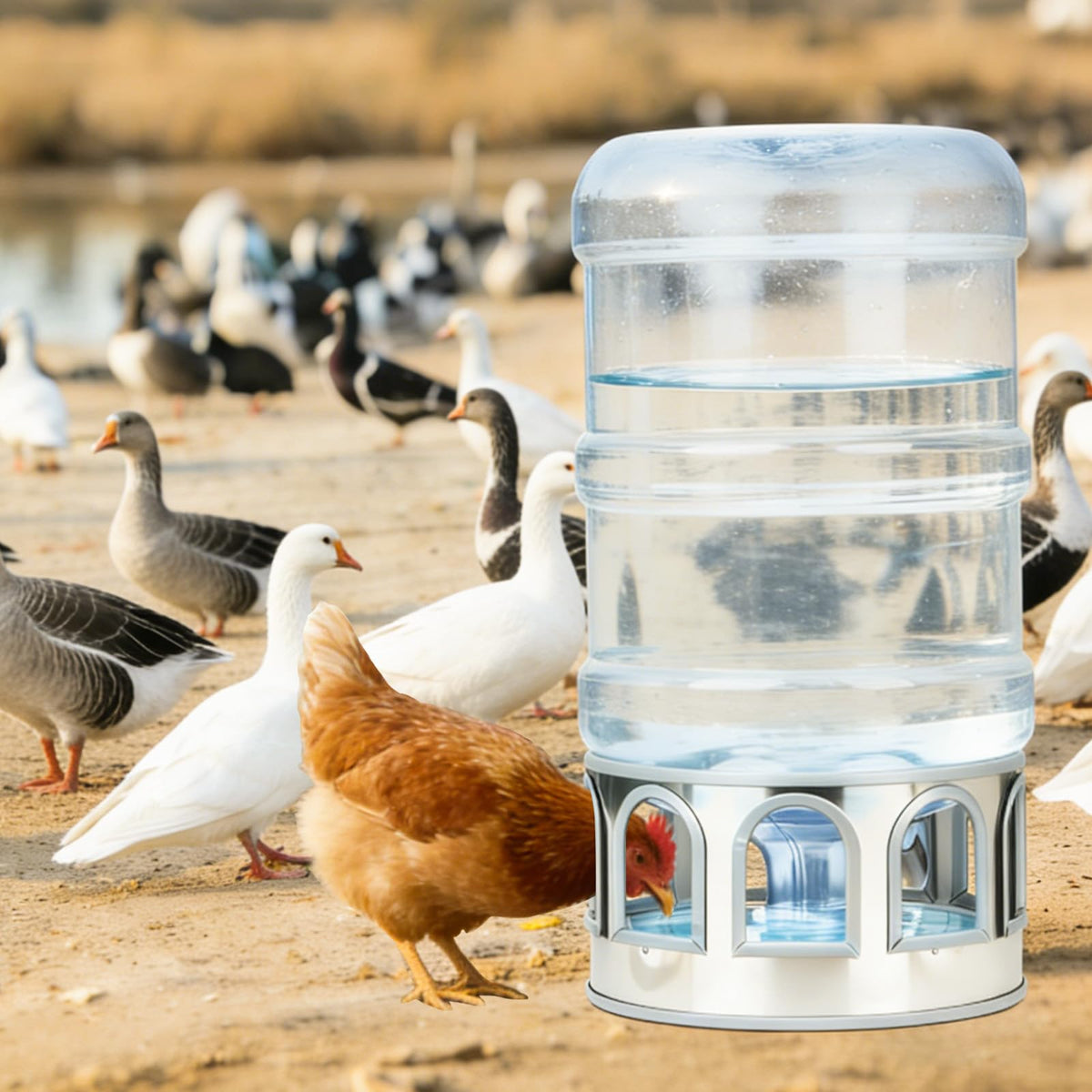 5 Gallon Stainless Steel Poultry Waterer Base with 9 Guarded Drinking Ports K9490