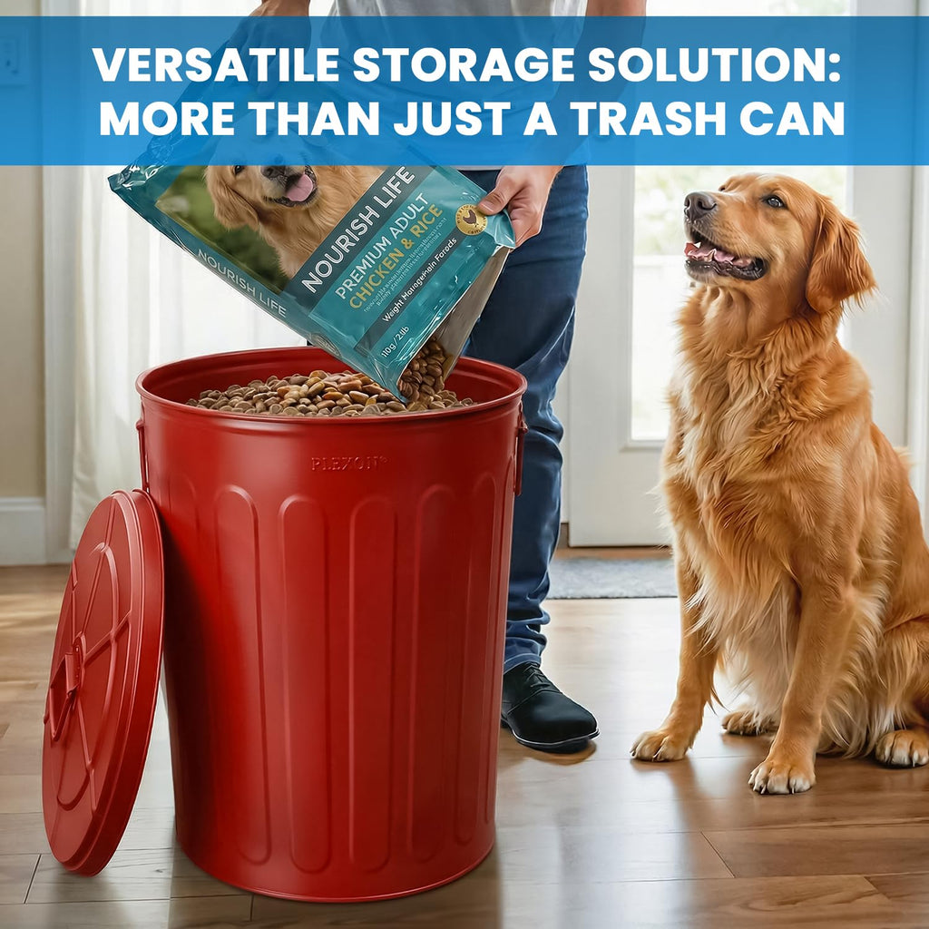 20 Gallon Red Metal Trash Can with Lid T732169