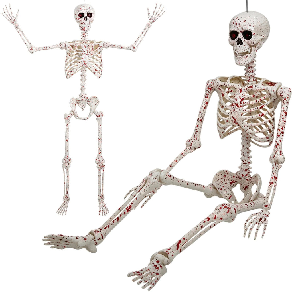 5.4FT Posable Life Size Skeleton Full Body J309
