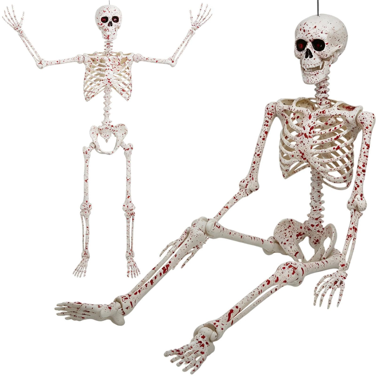 5.4FT Posable Life Size Skeleton Full Body J309
