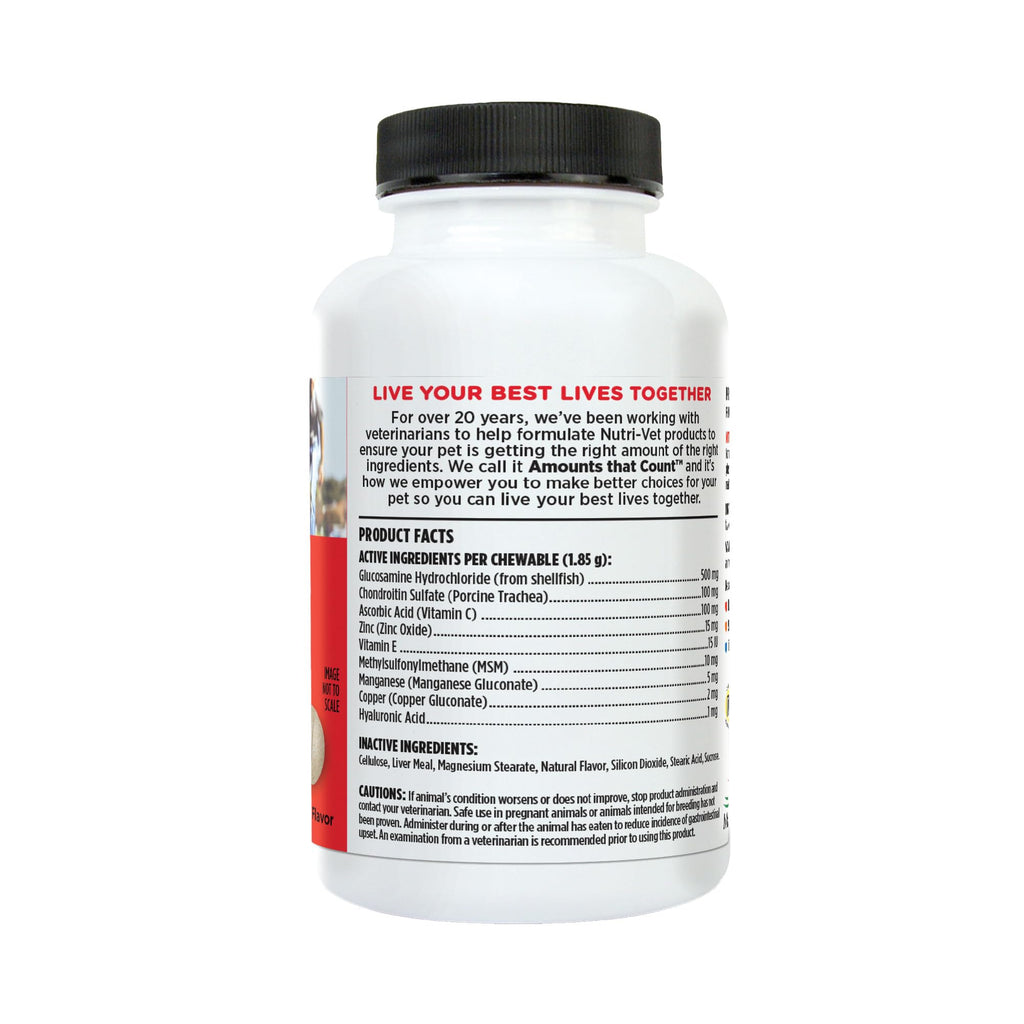 Dog Supplement, 500mg Glucosamine, 75 Count B201