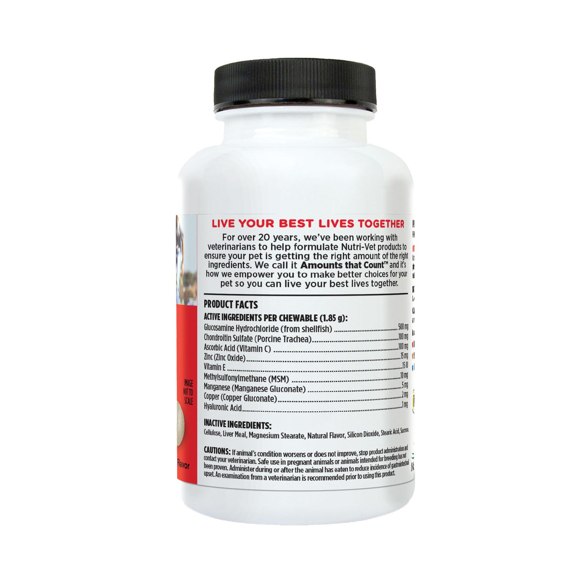 Dog Supplement, 500mg Glucosamine, 75 Count B201