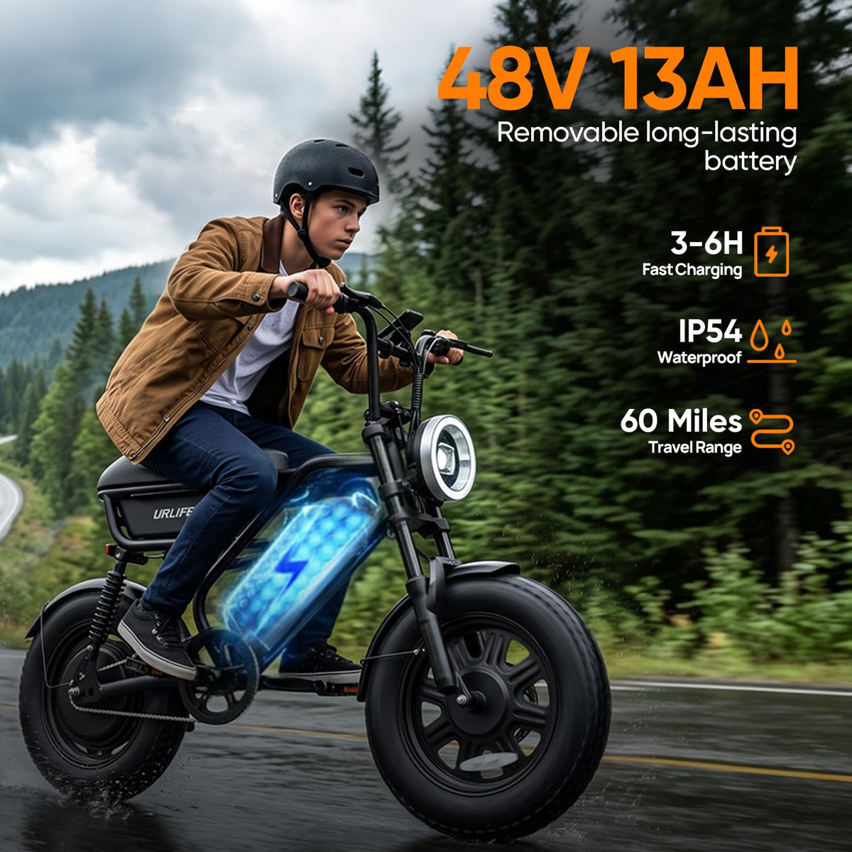 1000W Peak Electric Bike with 48V 13AH Battery, 16" Fat Tire I583