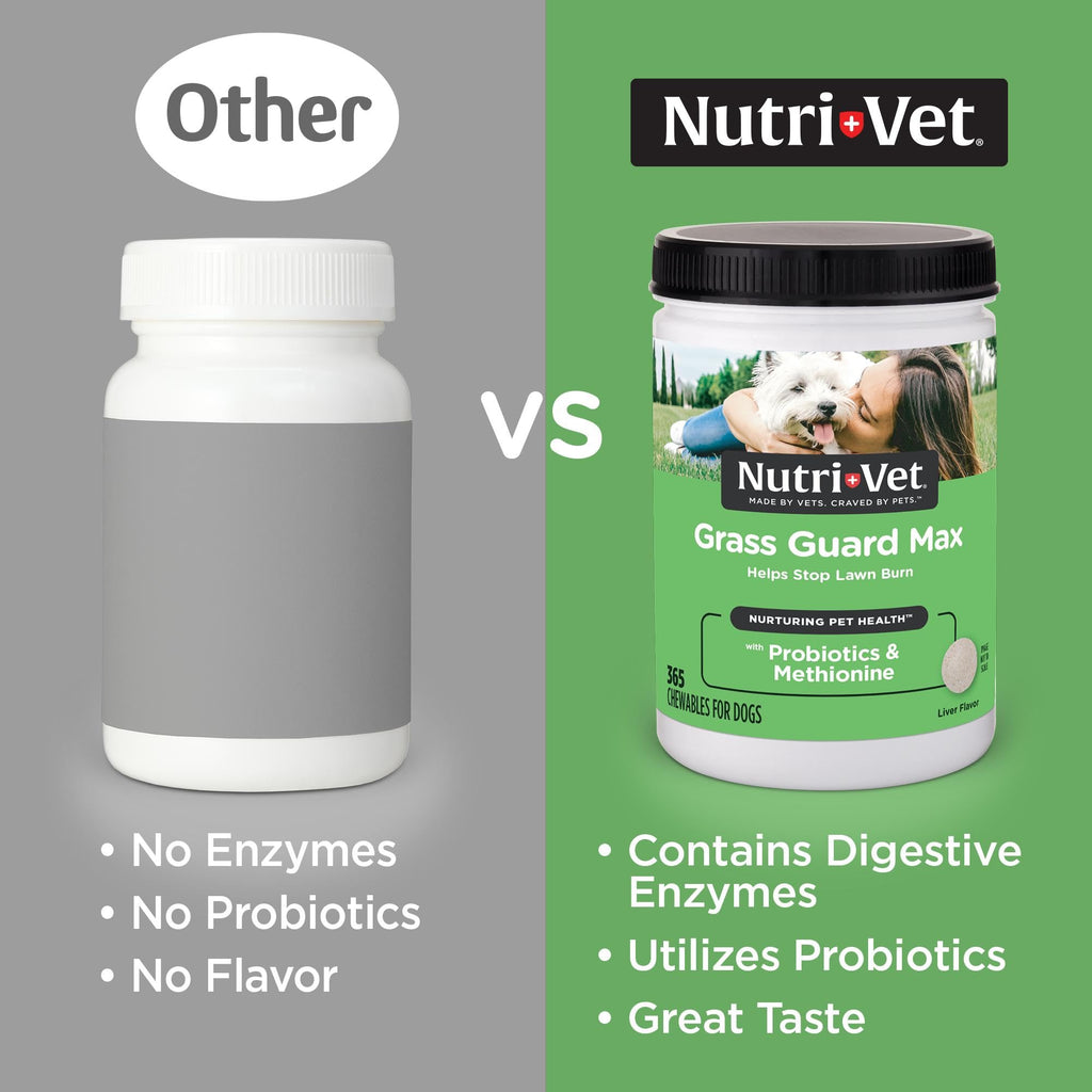 Dog Urine Support Chewables 365 Count X19053