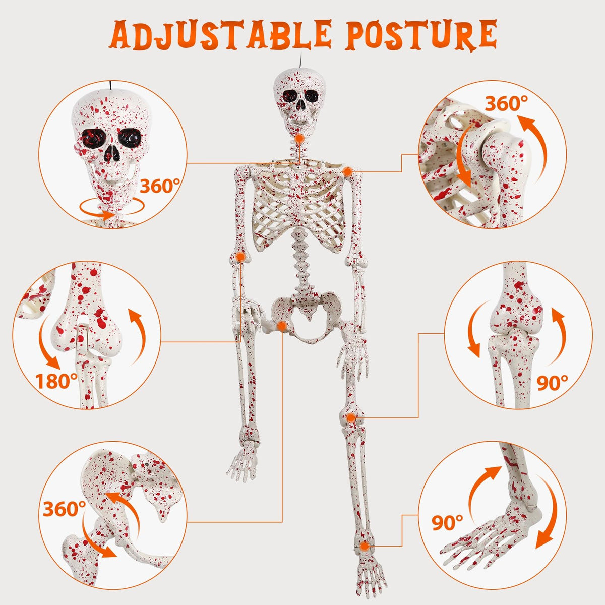 5.4FT Posable Life Size Skeleton Full Body J309