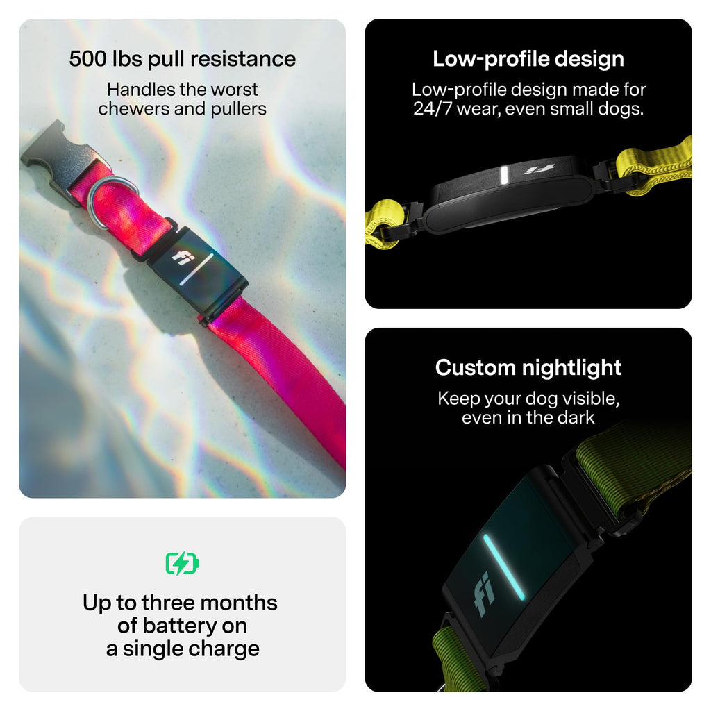 GPS Dog Collar & Tracker R7201