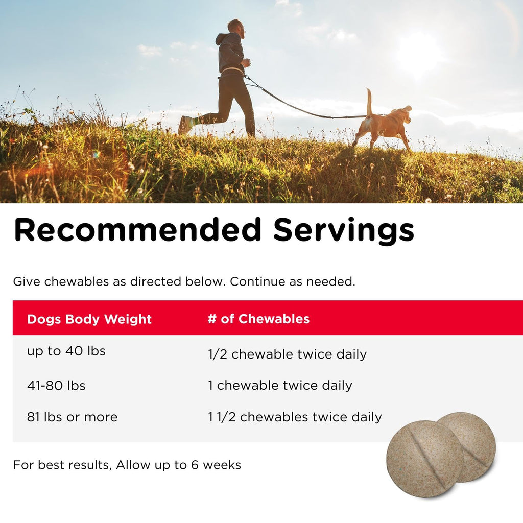 Dog Supplement, 500mg Glucosamine, 75 Count B201