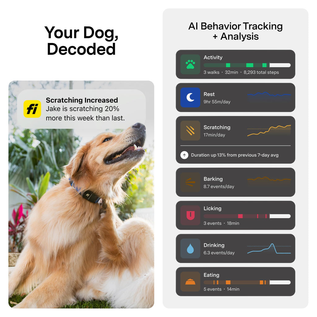 GPS Dog Collar & Tracker R7201