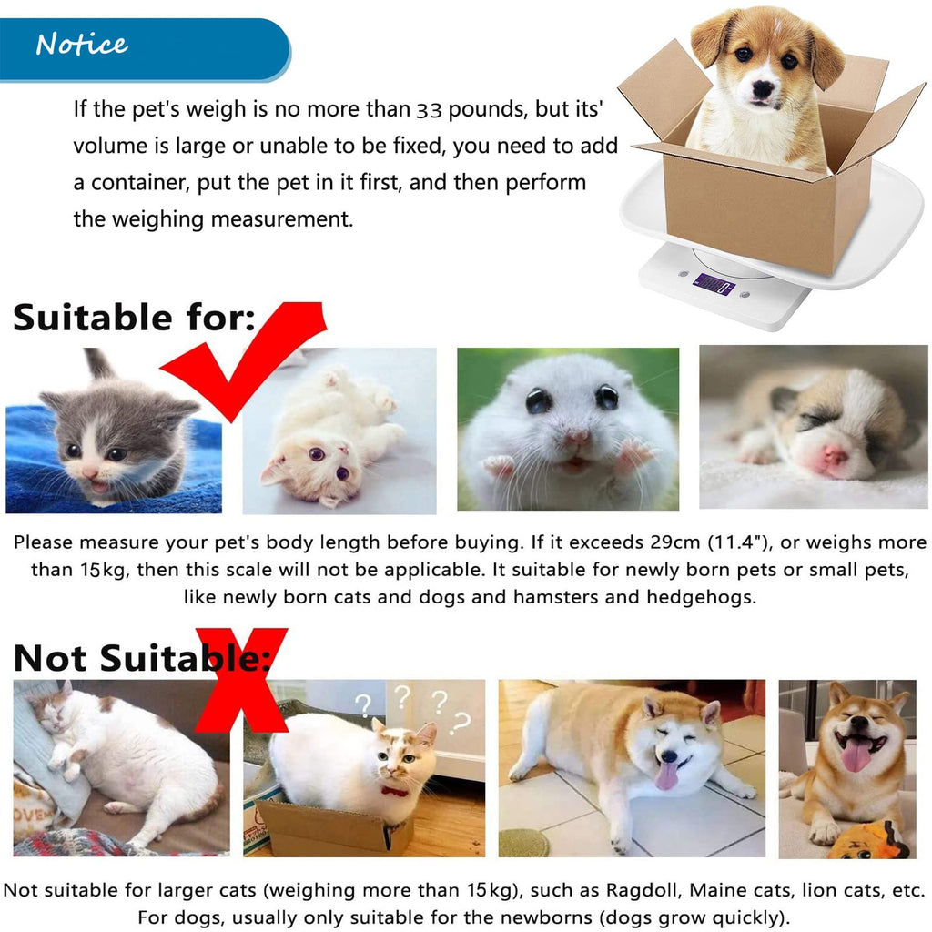 Newborn Kitten & Puppy Weight Scale White 12in x 8in V921940