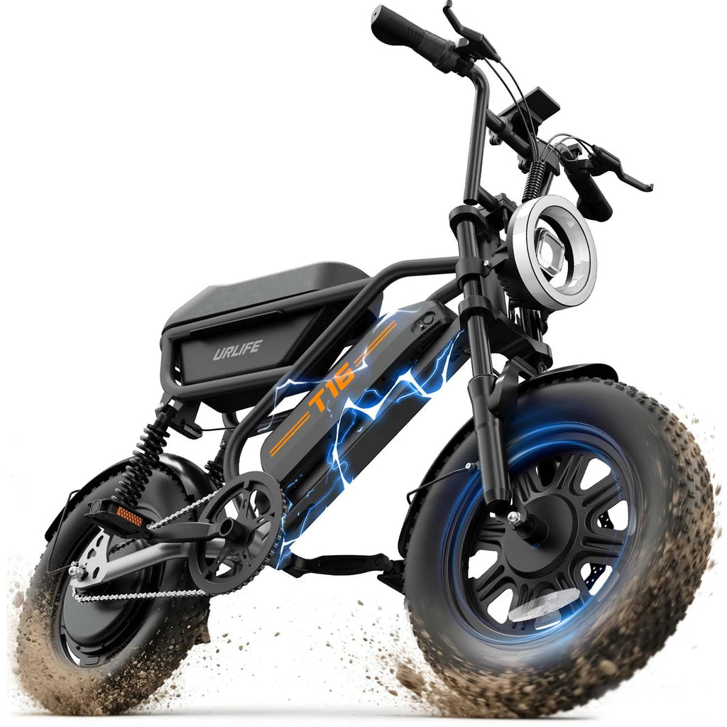 1000W Peak Electric Bike with 48V 13AH Battery, 16" Fat Tire I583