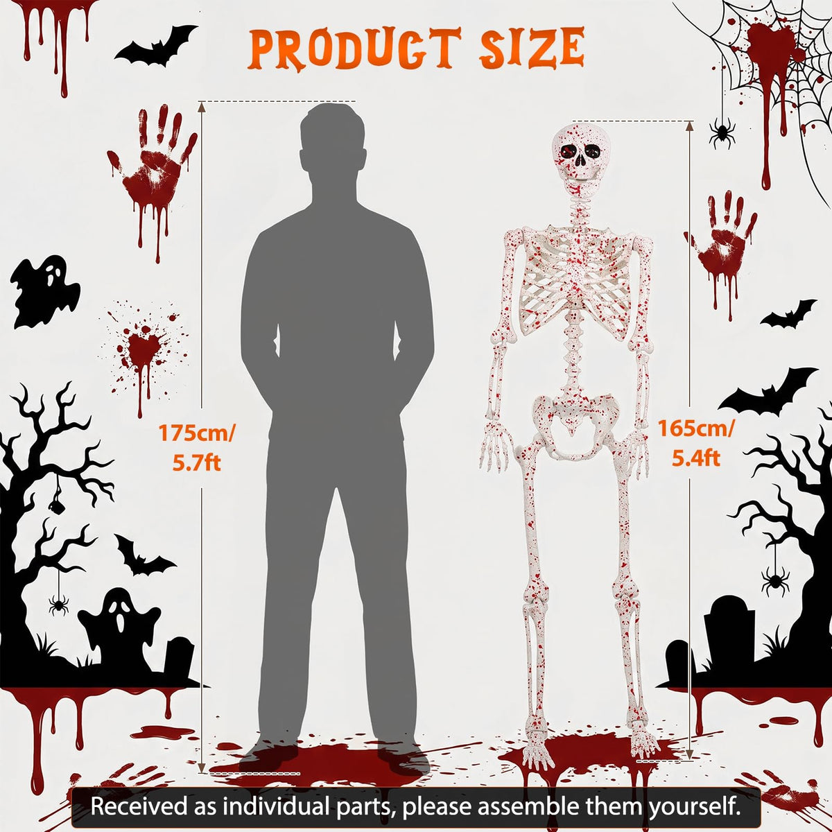 5.4FT Posable Life Size Skeleton Full Body J309