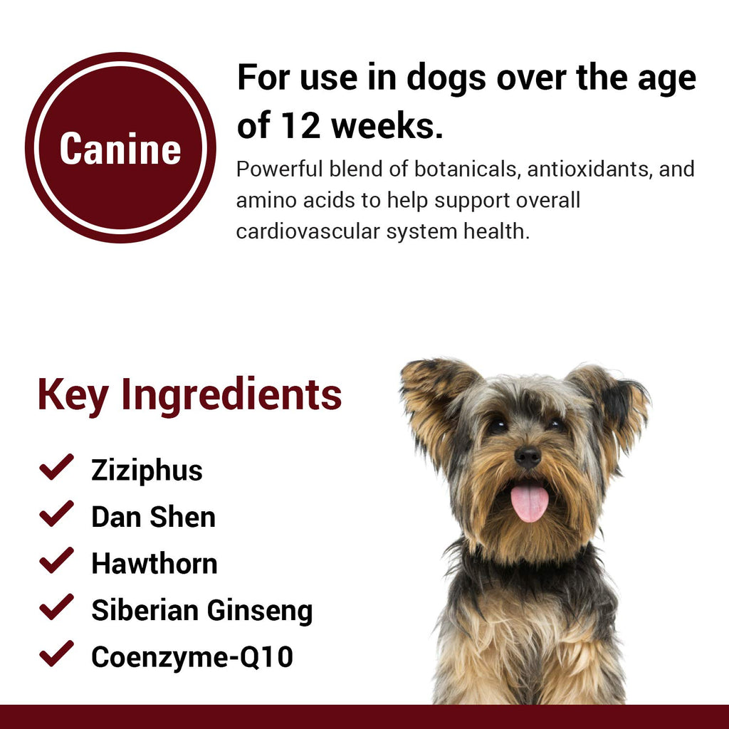 Cardiovascular Supplement with Coenzyme Q-10 for Dogs 120 Ct S163433