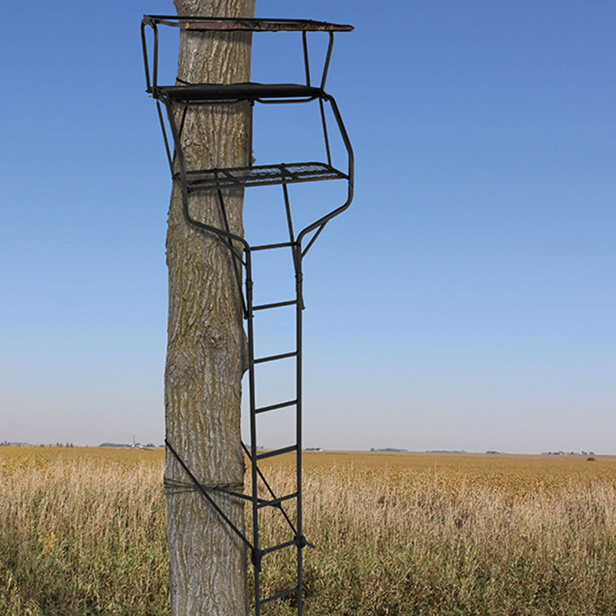 2 Person 18 Foot Tall Portable Hunting Tree Ladder Stand (2 Pack) Q9155