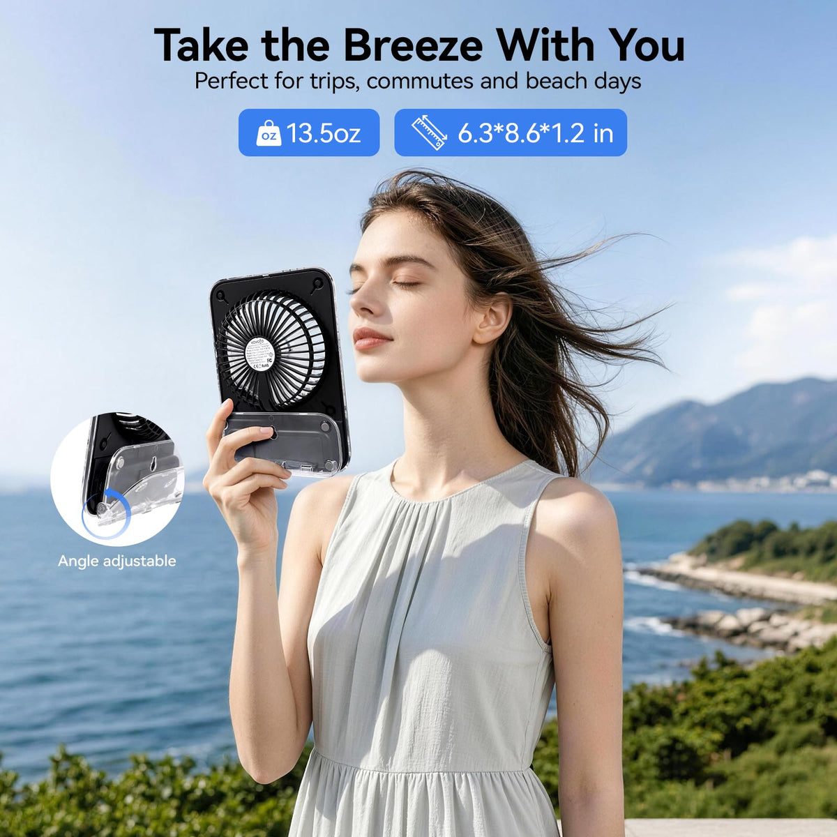 8.6 Inch Rechargeable Portable Desk Fan A981
