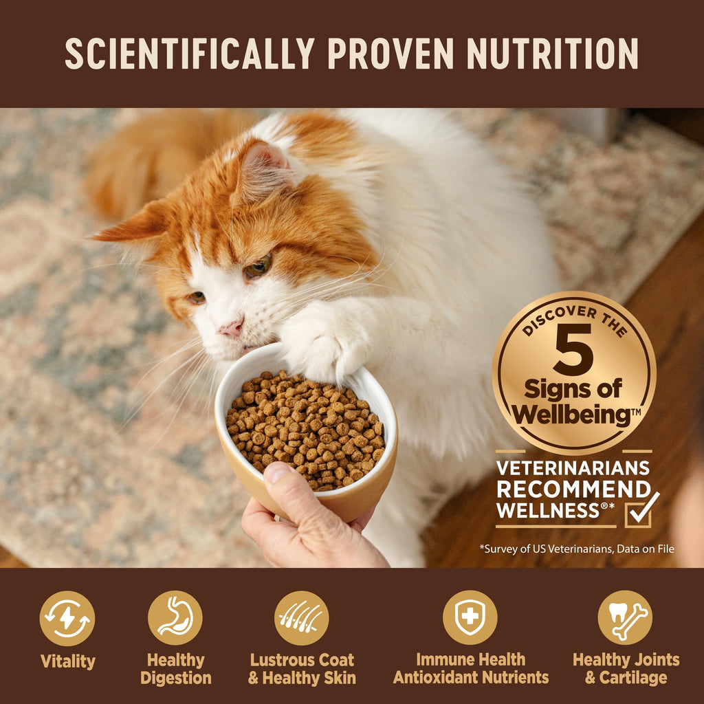 Grain Free Turkey and Chicken Dry Cat Food S1672