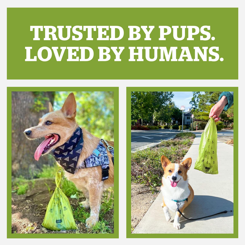 Dog Poop Bag Holder & Dispenser with 15 Unscented Bags V6041