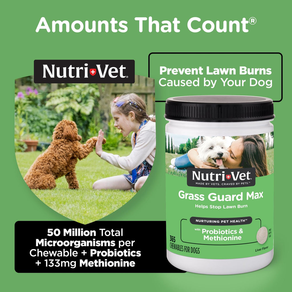 Dog Urine Support Chewables 365 Count X19053