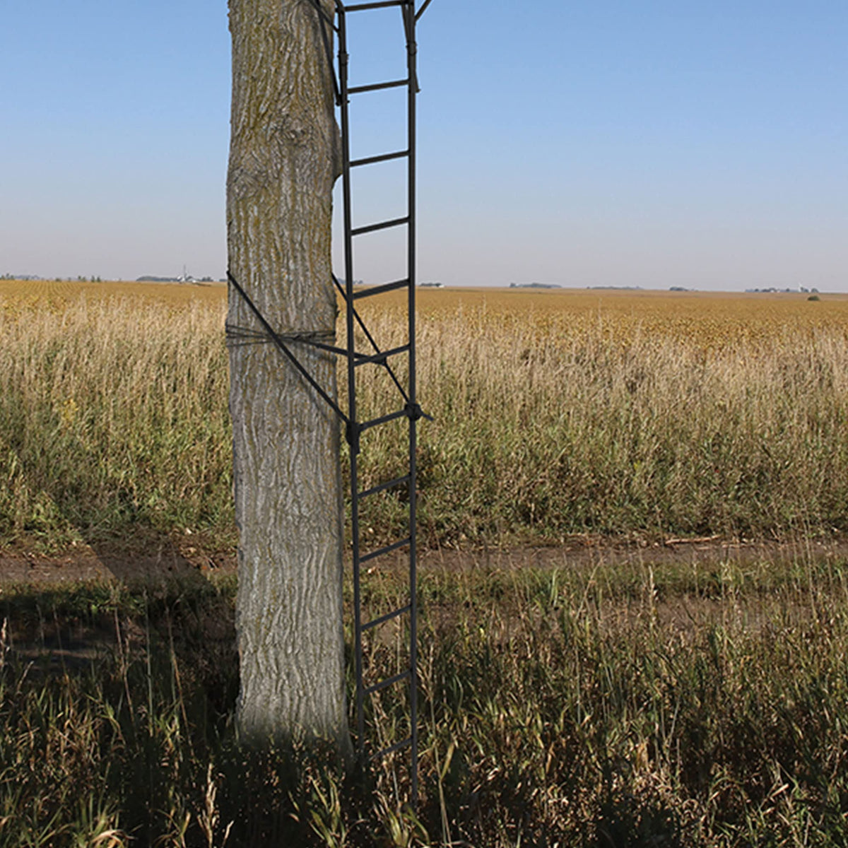 2 Person 18 Foot Tall Portable Hunting Tree Ladder Stand (2 Pack) Q9155