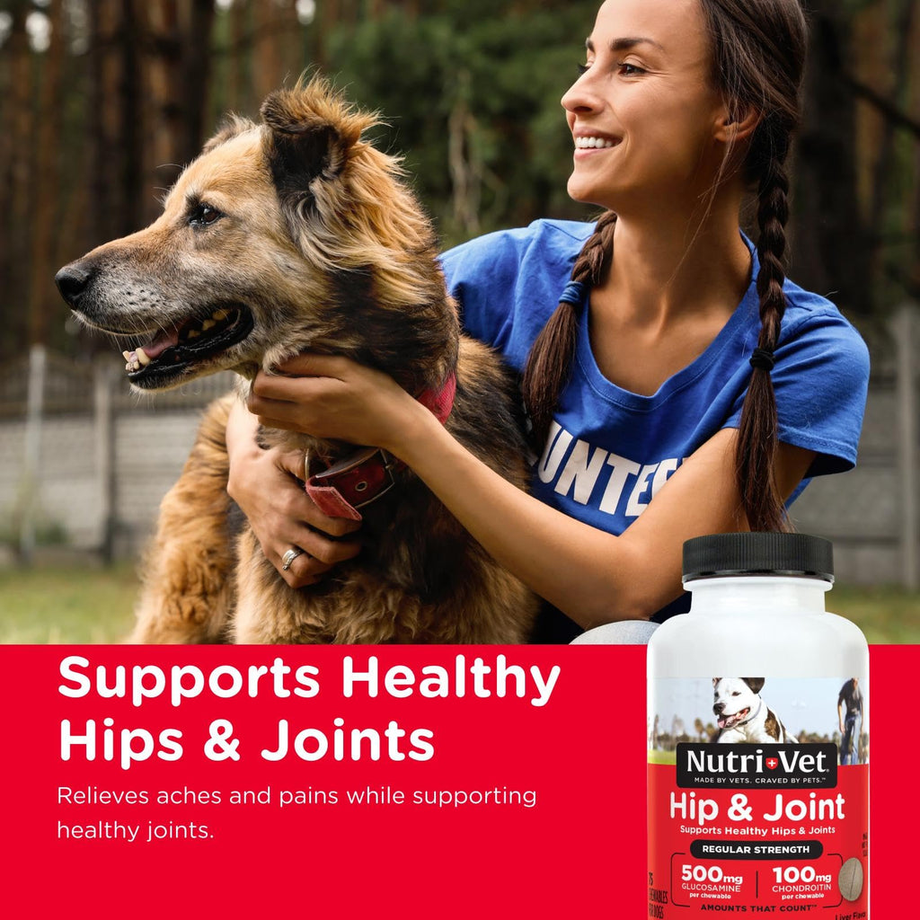 Dog Supplement, 500mg Glucosamine, 75 Count B201
