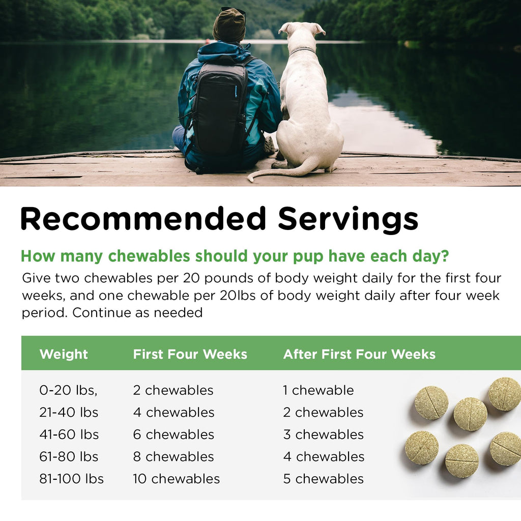 Dog Urine Support Chewables 365 Count X19053