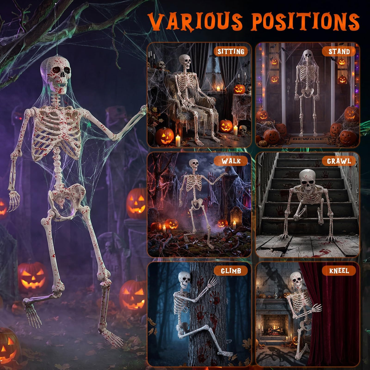 5.4FT Posable Life Size Skeleton Full Body J309
