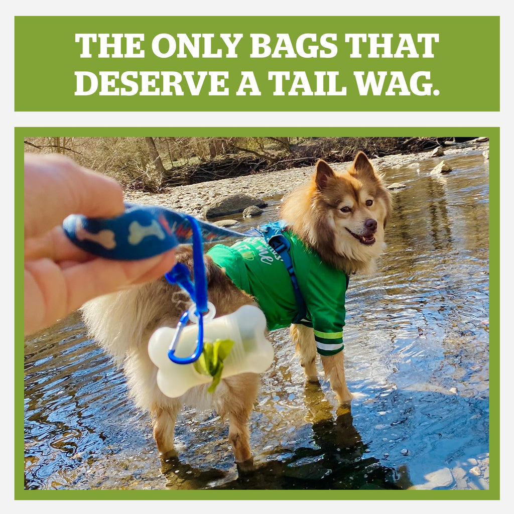 Dog Poop Bag Holder & Dispenser with 15 Unscented Bags V6041