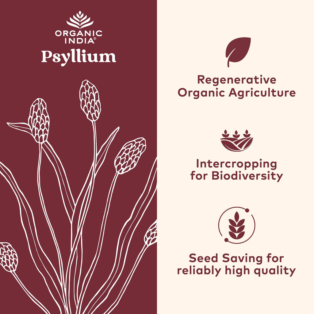 Psyllium Husk Capsules Fiber Supplement Vegan 180 Count H425