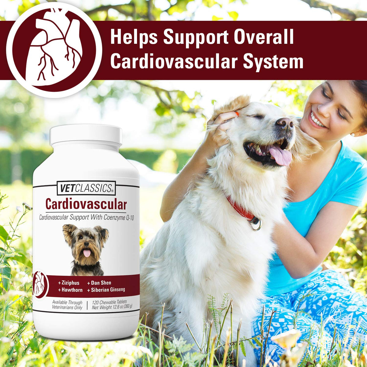 Cardiovascular Supplement with Coenzyme Q-10 for Dogs 120 Ct S163433