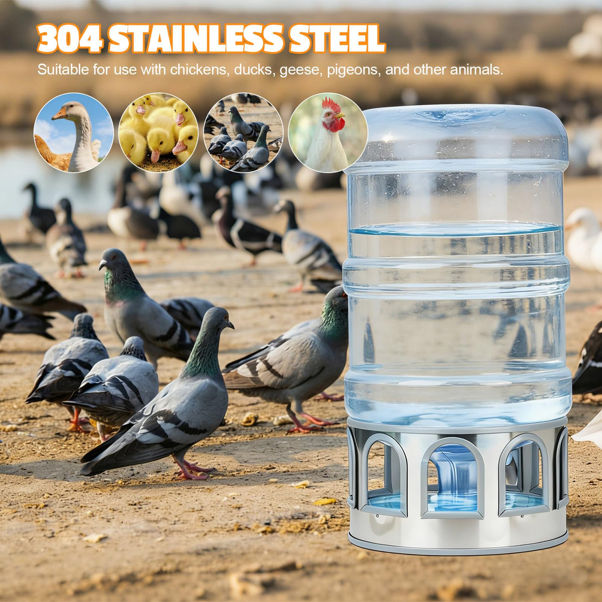 5 Gallon Stainless Steel Poultry Waterer Base with 9 Guarded Drinking Ports K9490