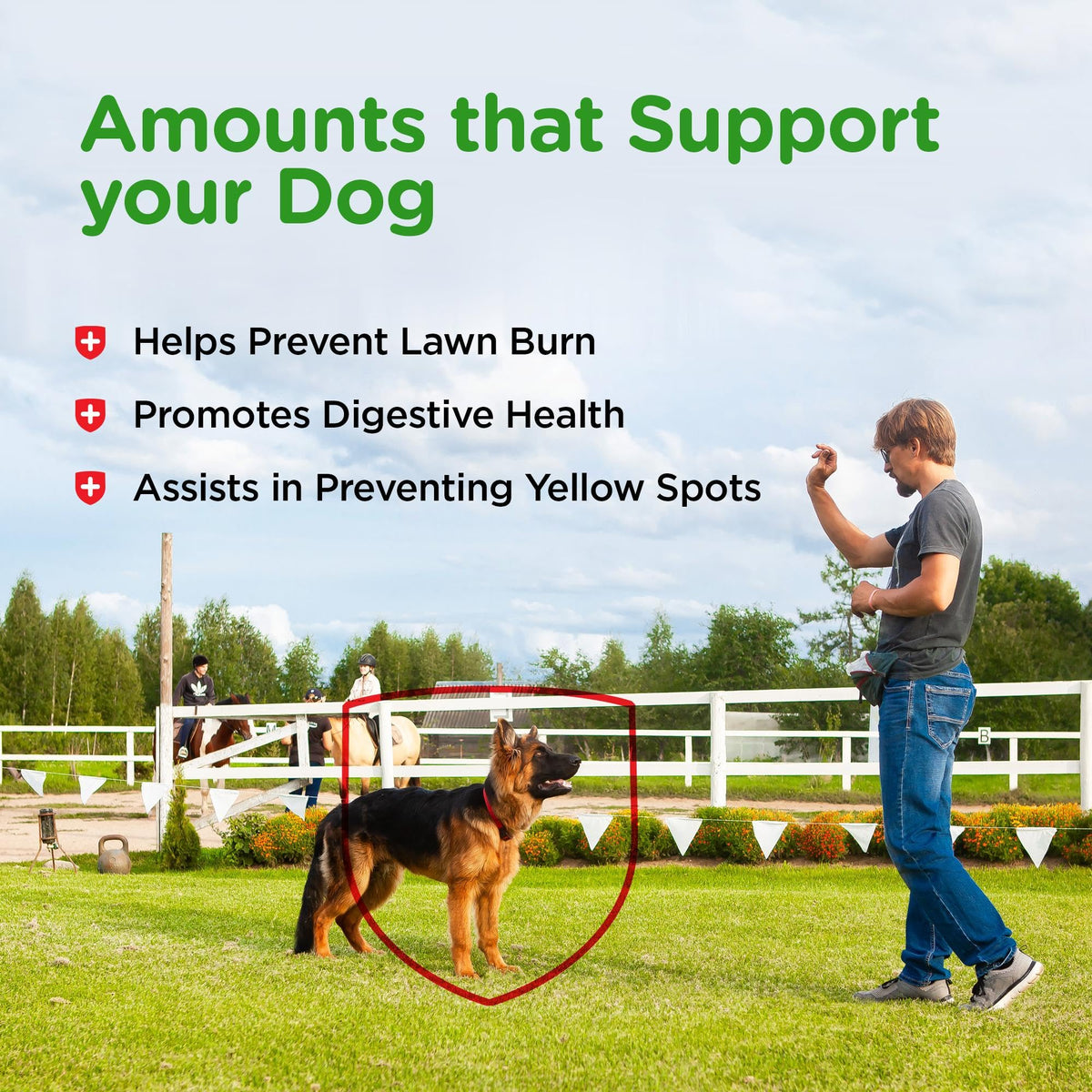Dog Urine Support Chewables 365 Count X19053